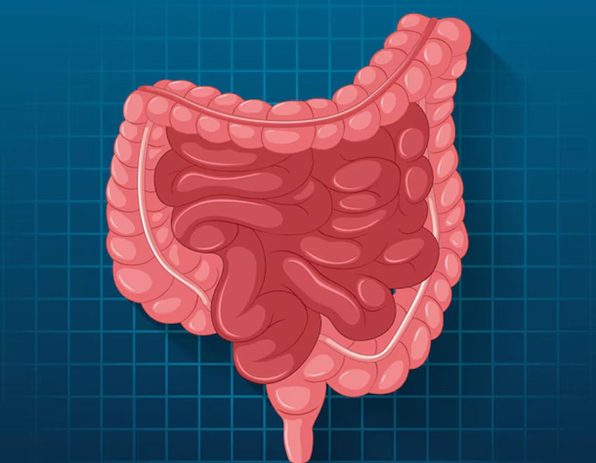 Surgical Gastroenterology