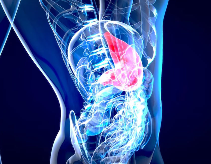 Medical Gastroenterology