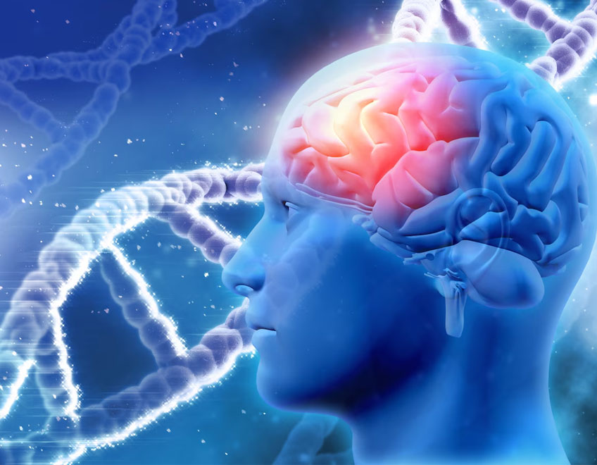 Neurology