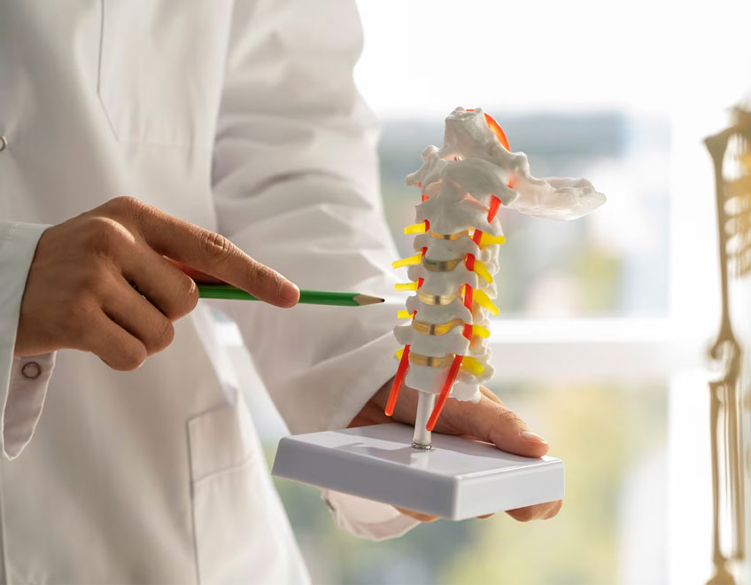 Orthopaedics